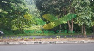 DIJUAL CEPAT TANAH MENARIK DAN STRATEGIS DAERAH SOEKARNO, HARGA SANGAT MURAH