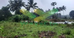 DIJUAL CEPAT TANAH CANTIK DAN MENARIK DAERAH TOMOHON, HARGA SANGAT MURAH