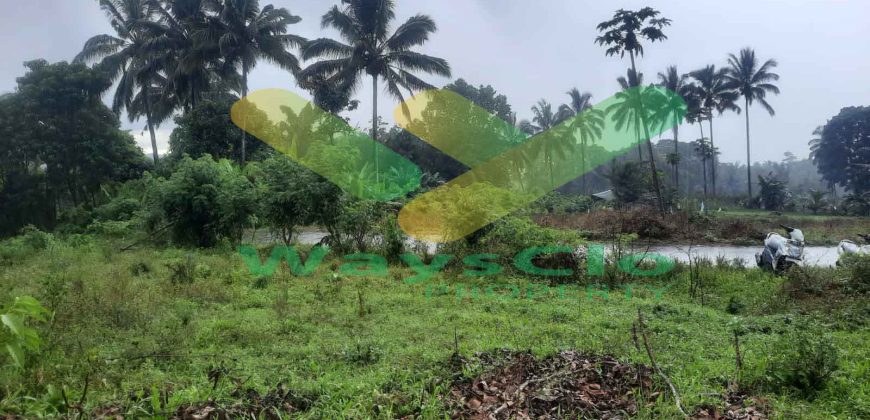 DIJUAL CEPAT TANAH CANTIK DAN MENARIK DAERAH TOMOHON, HARGA SANGAT MURAH