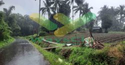 DIJUAL CEPAT TANAH CANTIK DAN MENARIK DAERAH TOMOHON, HARGA SANGAT MURAH