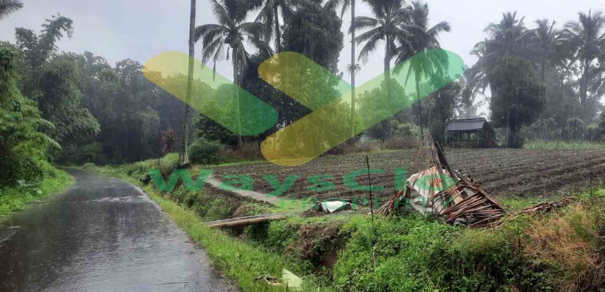 DIJUAL CEPAT TANAH CANTIK DAN MENARIK DAERAH TOMOHON, HARGA SANGAT MURAH