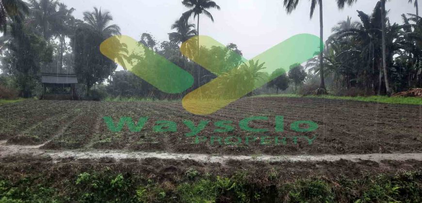 DIJUAL CEPAT TANAH CANTIK DAN MENARIK DAERAH TOMOHON, HARGA SANGAT MURAH