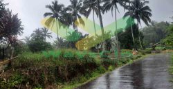 DIJUAL CEPAT TANAH CANTIK DAN MENARIK DAERAH TOMOHON, HARGA SANGAT MURAH