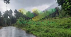 DIJUAL CEPAT TANAH CANTIK DAN MENARIK DAERAH TOMOHON, HARGA SANGAT MURAH
