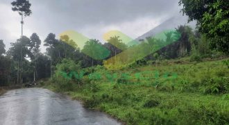 DIJUAL CEPAT TANAH CANTIK DAN MENARIK DAERAH TOMOHON, HARGA SANGAT MURAH