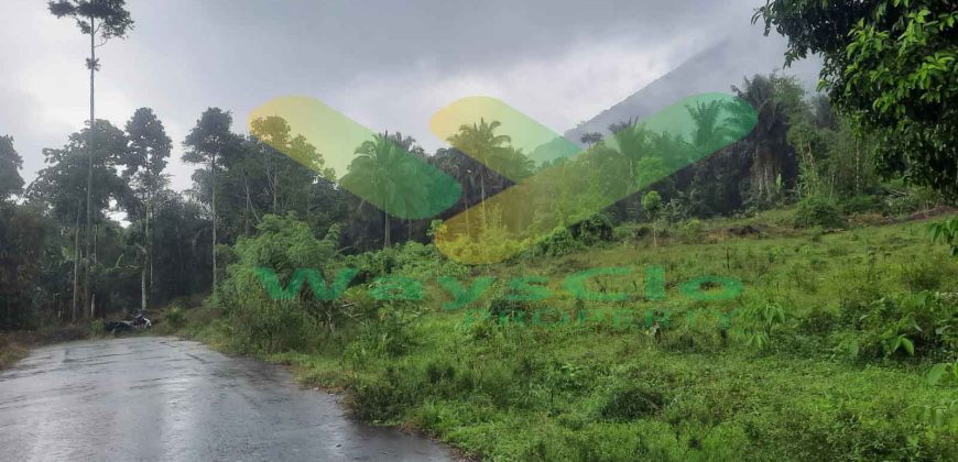DIJUAL CEPAT TANAH CANTIK DAN MENARIK DAERAH TOMOHON, HARGA SANGAT MURAH