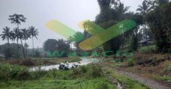 DIJUAL CEPAT TANAH CANTIK DAN MENARIK DAERAH TOMOHON, HARGA SANGAT MURAH