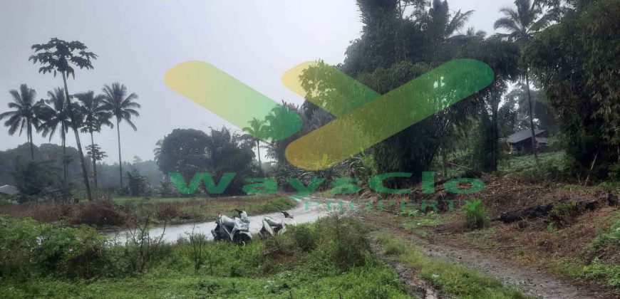 DIJUAL CEPAT TANAH CANTIK DAN MENARIK DAERAH TOMOHON, HARGA SANGAT MURAH