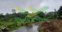 DIJUAL CEPAT TANAH CANTIK DAN MENARIK DAERAH TOMOHON, HARGA SANGAT MURAH
