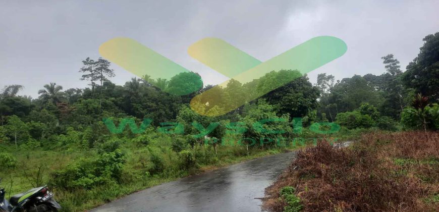 DIJUAL CEPAT TANAH CANTIK DAN MENARIK DAERAH TOMOHON, HARGA SANGAT MURAH