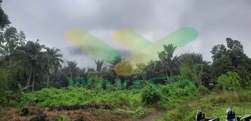 DIJUAL CEPAT TANAH CANTIK DAN MENARIK DAERAH TOMOHON, HARGA SANGAT MURAH