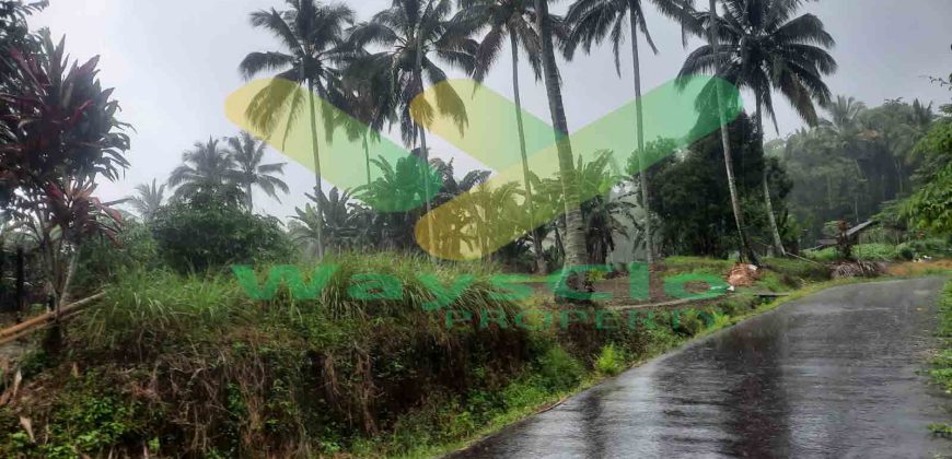 DIJUAL CEPAT TANAH CANTIK DAN MENARIK DAERAH TOMOHON, HARGA SANGAT MURAH