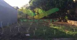 DIJUAL CEPAT TANAH CANTIK DAN MENARIK DAERAH BITUNG, HARGA SANGAT MURAH