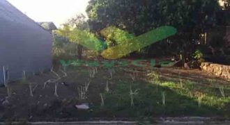 DIJUAL CEPAT TANAH CANTIK DAN MENARIK DAERAH BITUNG, HARGA SANGAT MURAH