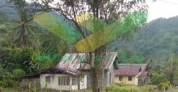 DIJUAL CEPAT TANAH CANTIK DAN STRATEGIS DAERAH BOLMONG, HARGA SANGAT MURAH