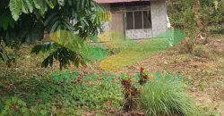 DIJUAL CEPAT TANAH CANTIK DAN STRATEGIS DAERAH BOLMONG, HARGA SANGAT MURAH