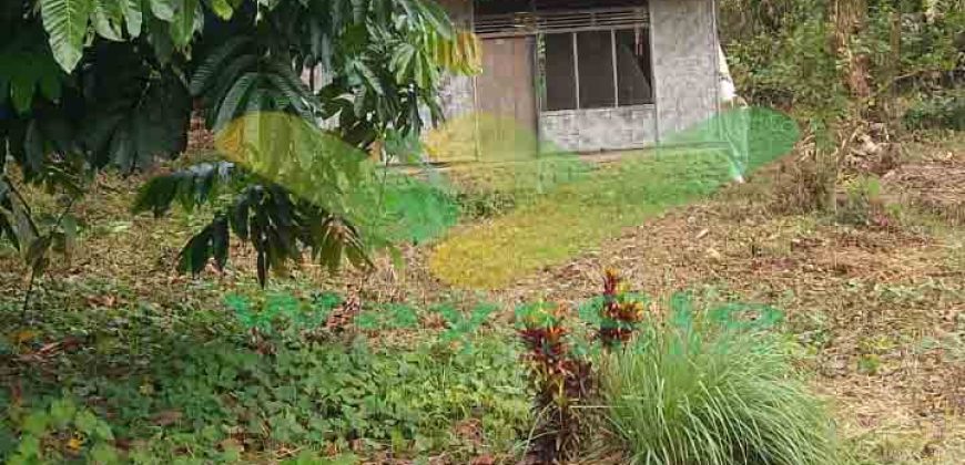 DIJUAL CEPAT TANAH CANTIK DAN STRATEGIS DAERAH BOLMONG, HARGA SANGAT MURAH