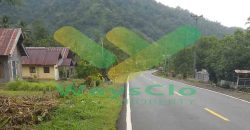 DIJUAL CEPAT TANAH CANTIK DAN STRATEGIS DAERAH BOLMONG, HARGA SANGAT MURAH