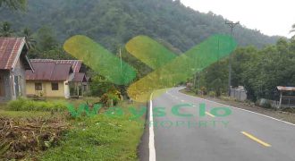 DIJUAL CEPAT TANAH CANTIK DAN STRATEGIS DAERAH BOLMONG, HARGA SANGAT MURAH