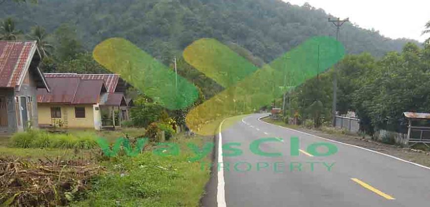 DIJUAL CEPAT TANAH CANTIK DAN STRATEGIS DAERAH BOLMONG, HARGA SANGAT MURAH