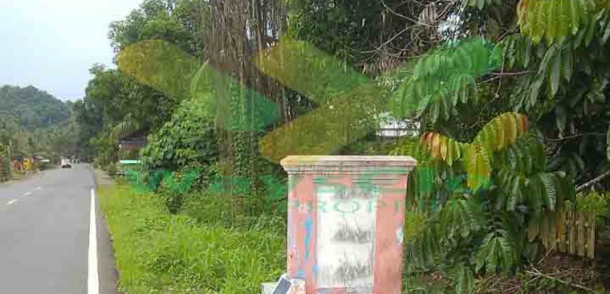 DIJUAL CEPAT TANAH CANTIK DAN STRATEGIS DAERAH BOLMONG, HARGA SANGAT MURAH