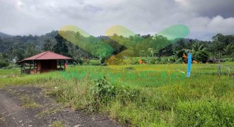 DIJUAL CEPAT TANAH SAWAH CANTIK DAERAH TOMOHON, HARGA SANGAT MURAH