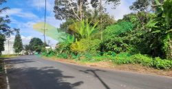 DIJUAL CEPAT TANAH CANTIK DAN SANGAT STRATEGIS DAERAH TOMOHON, HARGA SANGAT MURAH