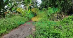 DIJUAL CEPAT TANAH MENARIK DAERAH PANDU MAPANGET, HARGA SANGAT MURAH