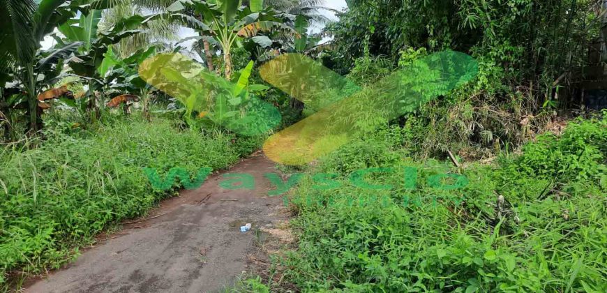 DIJUAL CEPAT TANAH MENARIK DAERAH PANDU MAPANGET, HARGA SANGAT MURAH