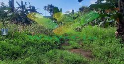 DIJUAL CEPAT TANAH MENARIK DAERAH PANDU MAPANGET, HARGA SANGAT MURAH