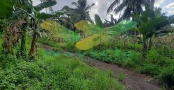 DIJUAL CEPAT TANAH MENARIK DAERAH PANDU MAPANGET, HARGA SANGAT MURAH