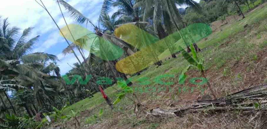 DIJUAL CEPAT TANAH MENARIK DAERAH PANDU MAPANGET, HARGA SANGAT MURAH