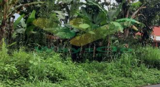 DIJUAL CEPAT TANAH MENARIK DAN STRATEGIS DAERAH MAPANGET, HARGA SANGAT MURAH