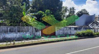 DISEWAKAN TANAH CANTIK DAN STRATEGIS DAERAH MAPANGET, HARGA SANGAT MURAH