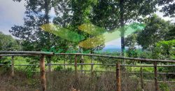 DIJUAL CEPAT TANAH CANTIK DAN STRATEGIS DAERAH TOMOHON, HARGA SANGAT MURAH