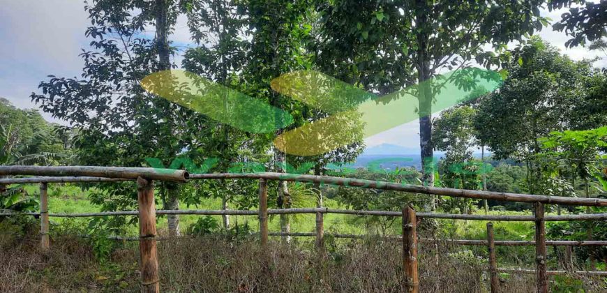 DIJUAL CEPAT TANAH CANTIK DAN STRATEGIS DAERAH TOMOHON, HARGA SANGAT MURAH