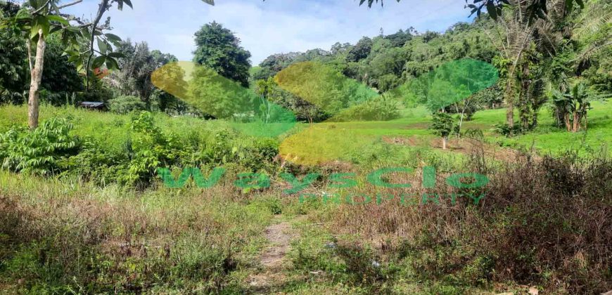 DIJUAL CEPAT TANAH CANTIK DAN STRATEGIS DAERAH TOMOHON, HARGA SANGAT MURAH