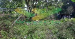 DIJUAL CEPAT TANAH CANTIK DAN STRATEGIS DAERAH TOMOHON, HARGA SANGAT MURAH