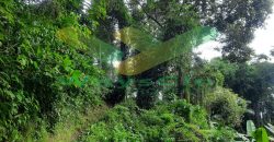 DIJUAL CEPAT TANAH CANTIK DAN STRATEGIS DAERAH TOMOHON, HARGA SANGAT MURAH