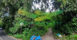 DIJUAL CEPAT TANAH CANTIK DAN STRATEGIS DAERAH TOMOHON, HARGA SANGAT MURAH