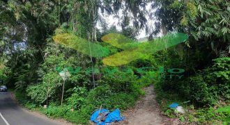 DIJUAL CEPAT TANAH CANTIK DAN STRATEGIS DAERAH TOMOHON, HARGA SANGAT MURAH