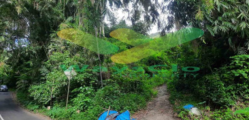 DIJUAL CEPAT TANAH CANTIK DAN STRATEGIS DAERAH TOMOHON, HARGA SANGAT MURAH