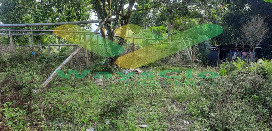 DIJUAL CEPAT TANAH CANTIK DAN STRATEGIS DAERAH TOMOHON, HARGA SANGAT MURAH