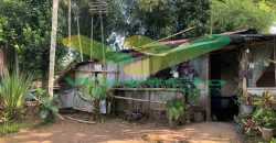 DIJUAL CEPAT TANAH SANGAT MURAH DAERAH TONDANO, PEMILIK BUTUH UANG