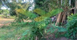 DIJUAL CEPAT TANAH SANGAT MURAH DAERAH TONDANO, PEMILIK BUTUH UANG