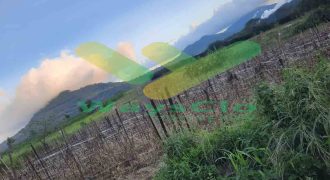 DIJUAL CEPAT TANAH CANTIK DAN MENARIK DAERAH TOMOHON, HARGA SANGAT MURAH