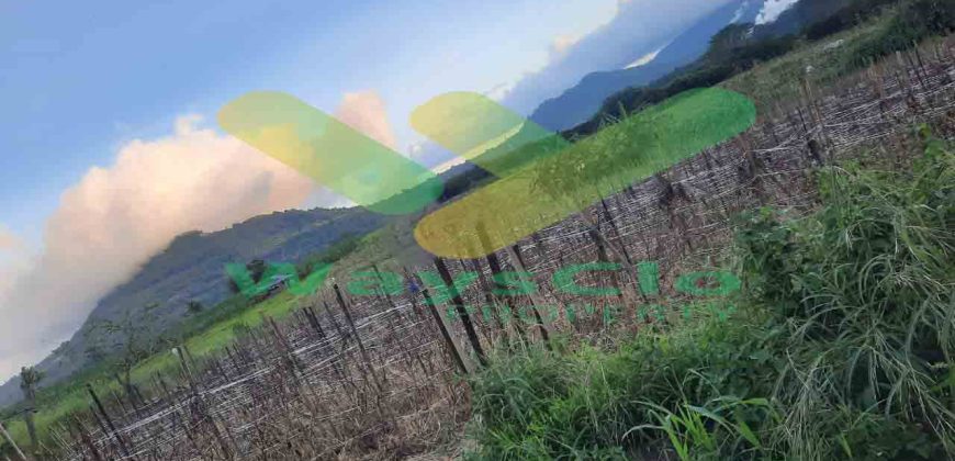 DIJUAL CEPAT TANAH CANTIK DAN MENARIK DAERAH TOMOHON, HARGA SANGAT MURAH