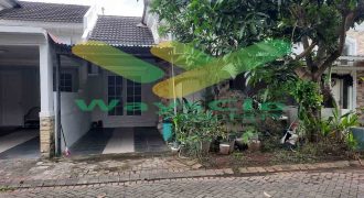 DISEWAKAN RUMAH CANTIK DAN MENARIK DAERAH CITRALAND, HARGA SANGAT MURAH