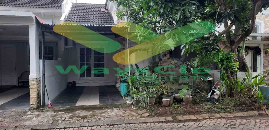 DISEWAKAN RUMAH CANTIK DAN MENARIK DAERAH CITRALAND, HARGA SANGAT MURAH