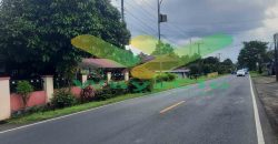 DIJUAL CEPAT TANAH CANTIK DAN STRATEGIS DAERAH KALAWAT, HARGA SANGAT MURAH